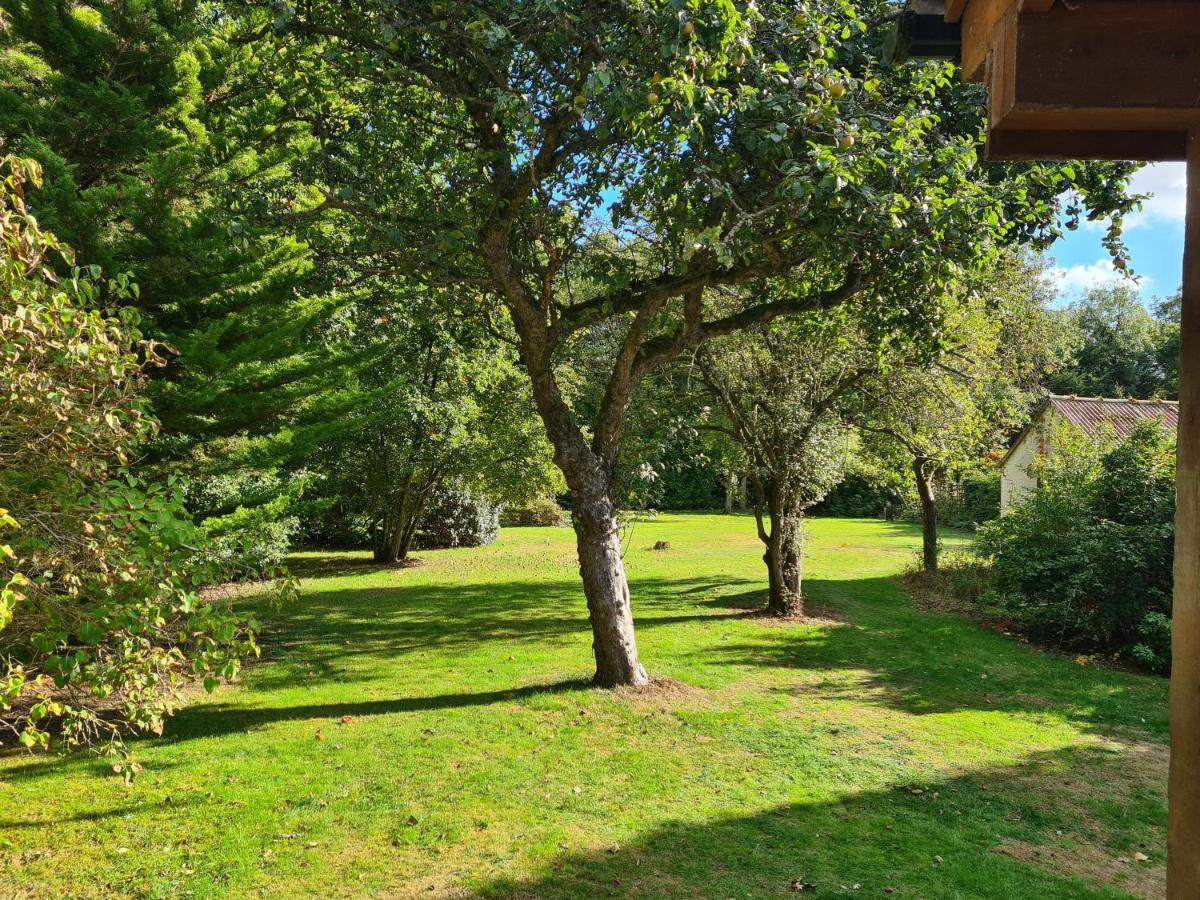 The Reading Whole Chalet With Lake And Two Acre Gardens Exterior photo
